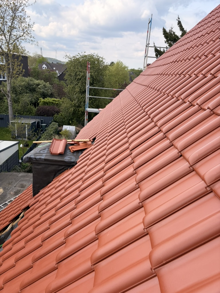 Dach-Neueindeckung der Walter Bau UG in Gelsenkirchen: neue Tondachziegel auf frischer Lattung